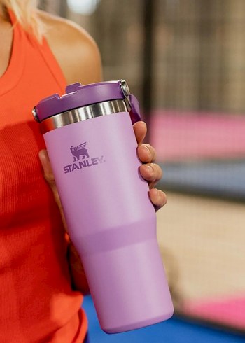 Mor Stanley Termos Matara - Görsel 2