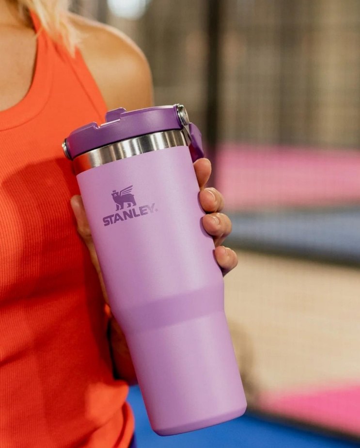 Mor Stanley Termos Matara - Görsel 2