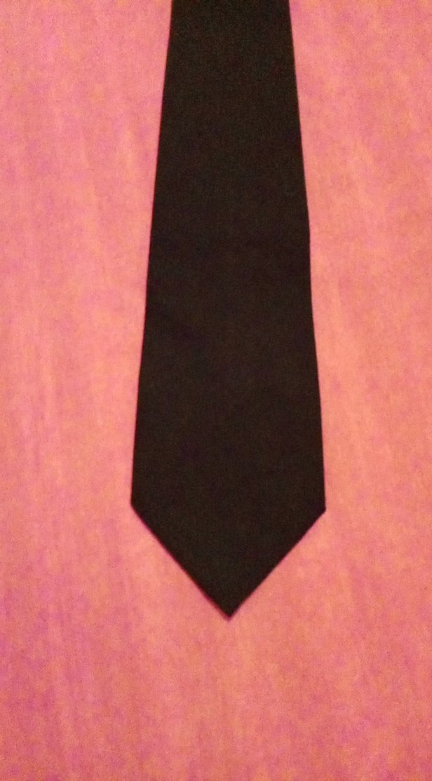 Düz Siyah Erkek Kravat - Görsel 2