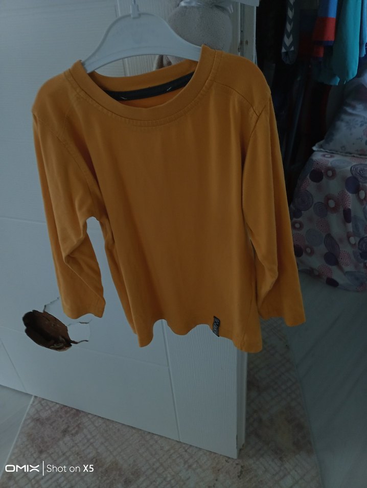 Erkek Çocuk Kahverengi Uzun Kollu Tişört - Görsel 2