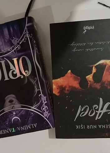 Asel / Orion