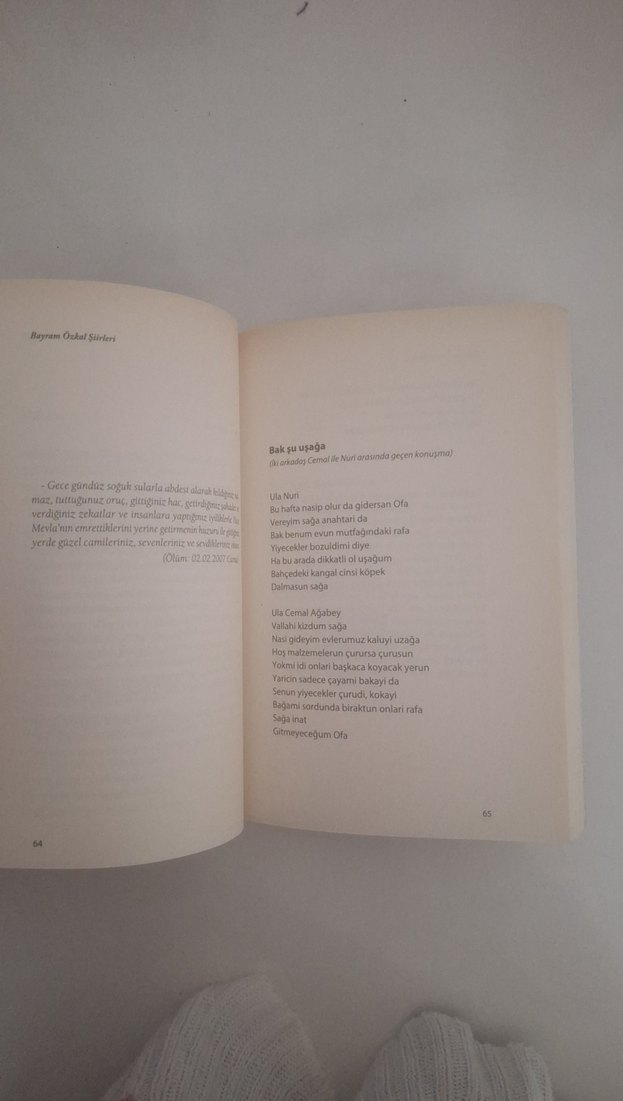 Bayram Özkal Şiirleri Kitabı - Görsel 5