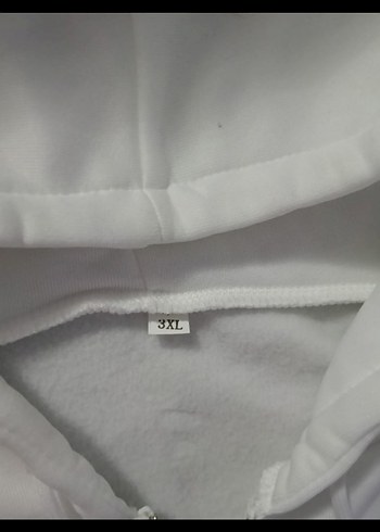 R Tapout fermuarlı hoodie / kapüşonlu sweatshirt - Görsel 2