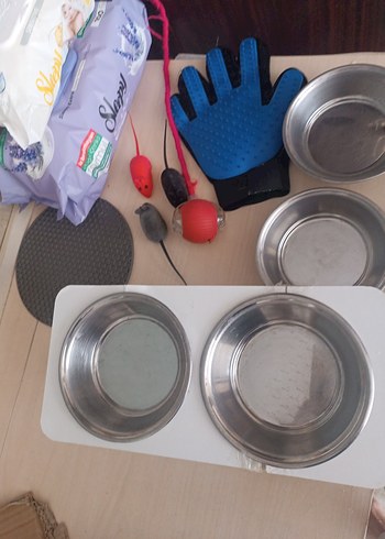 Beden Paslanmaz Çelik Kedi Mama ve Su Kabı Seti