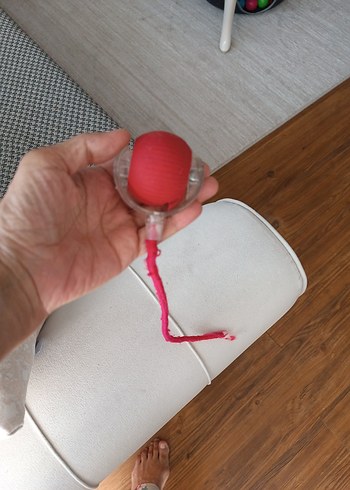 kedi oyuncakları