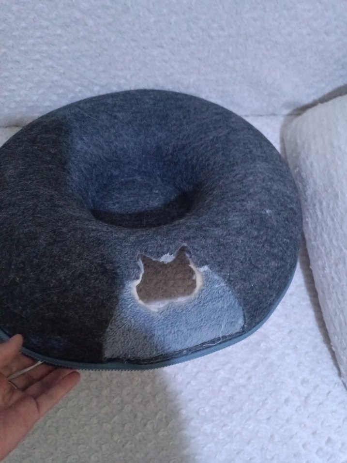 kedi yatağı donut - Görsel 2