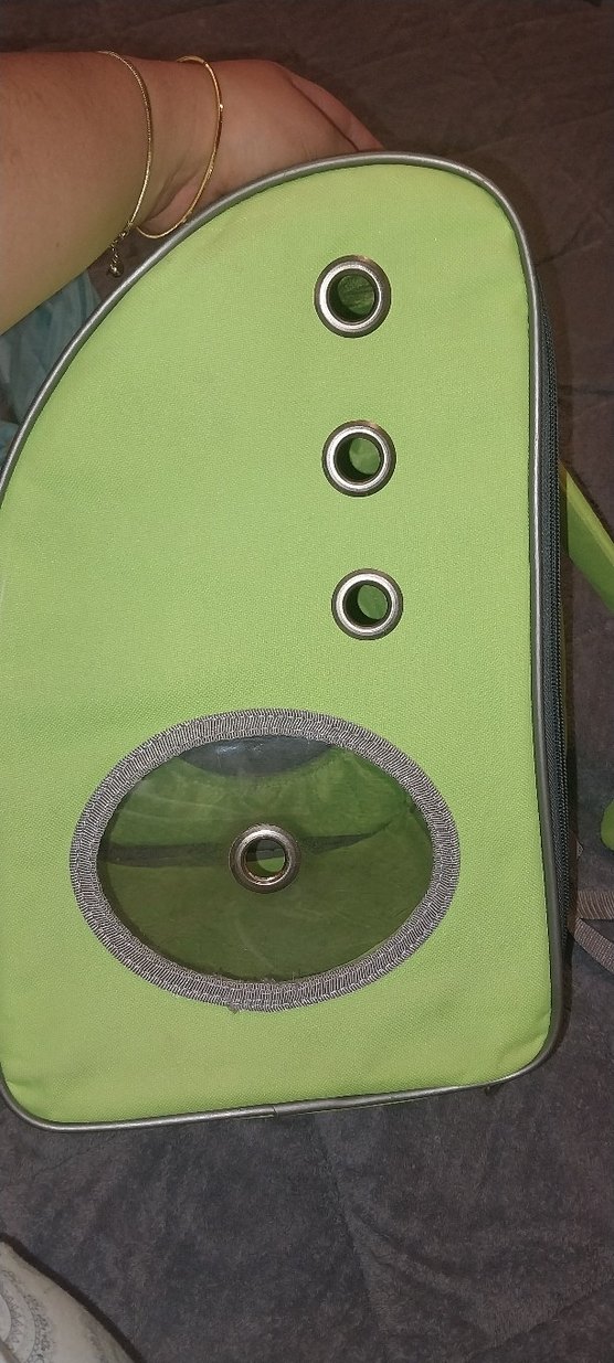 Yeşil Taşınabilir Kedi Taşıma Çantası - Görsel 2