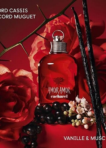 Diğer Amor parfüm 