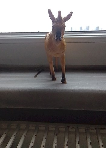 At figürü - Görsel 4