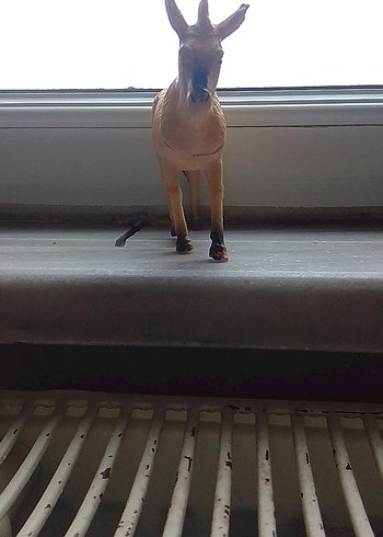 At figürü - Görsel 3