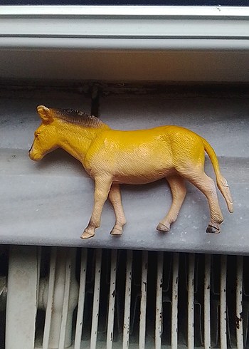 At figürü - Görsel 2