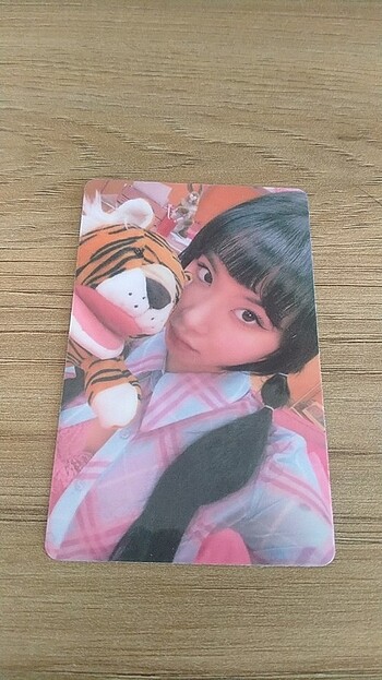 Tiger chae