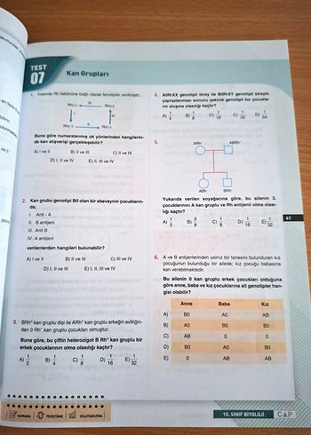 10. Sınıf Biyoloji Soru Bankası Çap Yayınları - Görsel 9