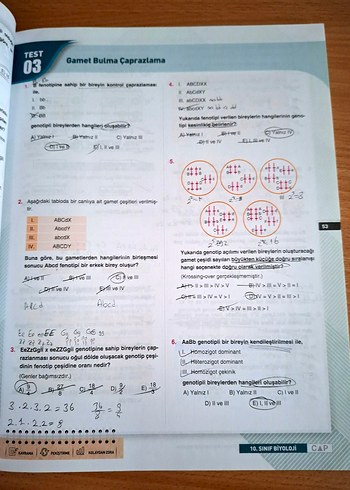 10. Sınıf Biyoloji Soru Bankası Çap Yayınları - Görsel 7