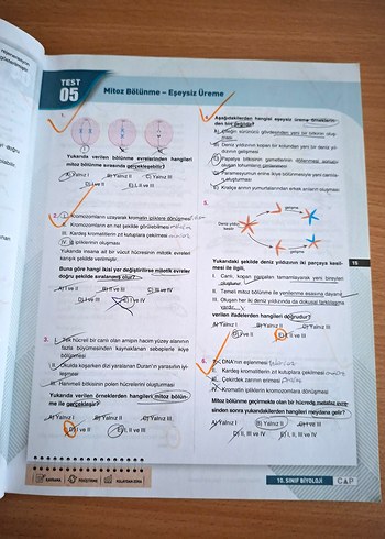10. Sınıf Biyoloji Soru Bankası Çap Yayınları - Görsel 2