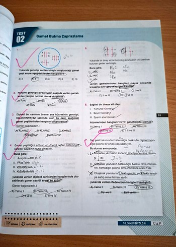 10. Sınıf Biyoloji Soru Bankası Çap Yayınları - Görsel 6