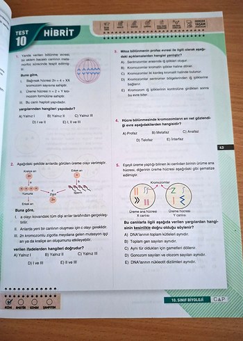 10. Sınıf Biyoloji Soru Bankası Çap Yayınları - Görsel 5