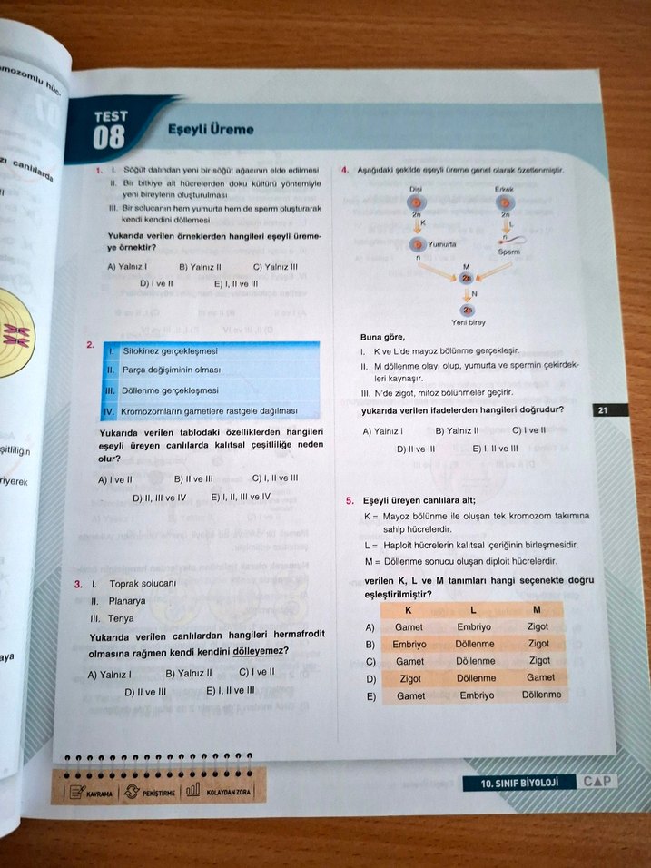 10. Sınıf Biyoloji Soru Bankası Çap Yayınları - Görsel 3