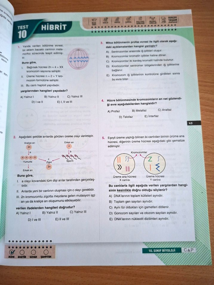 10. Sınıf Biyoloji Soru Bankası Çap Yayınları - Görsel 5