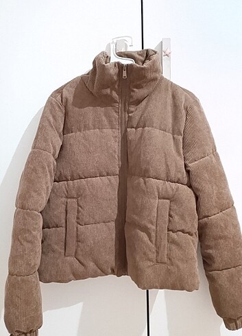 Fitilli mont 