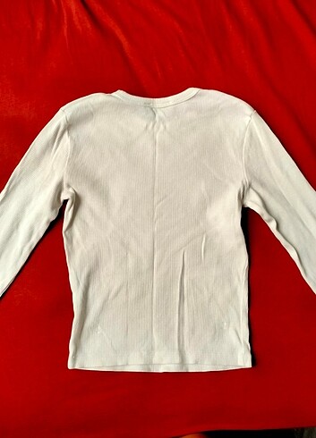 xs Beden Uzun Kollu Crop