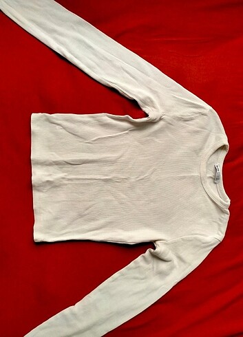 Uzun Kollu Crop