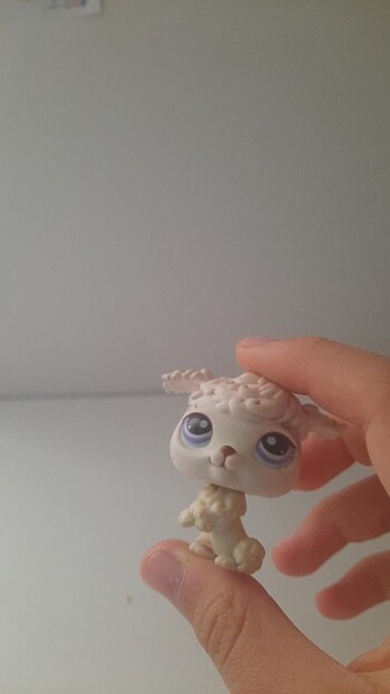 Lps miniş