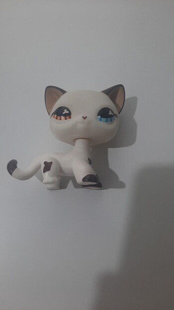 Lps miniş