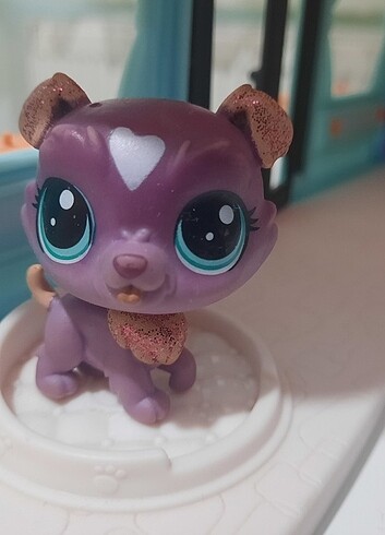 Lps miniş 