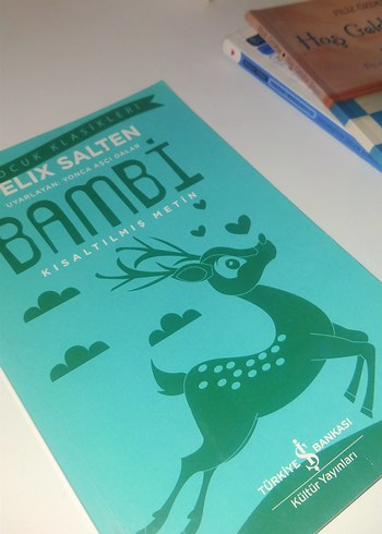 çocuk kitapları - Görsel 3