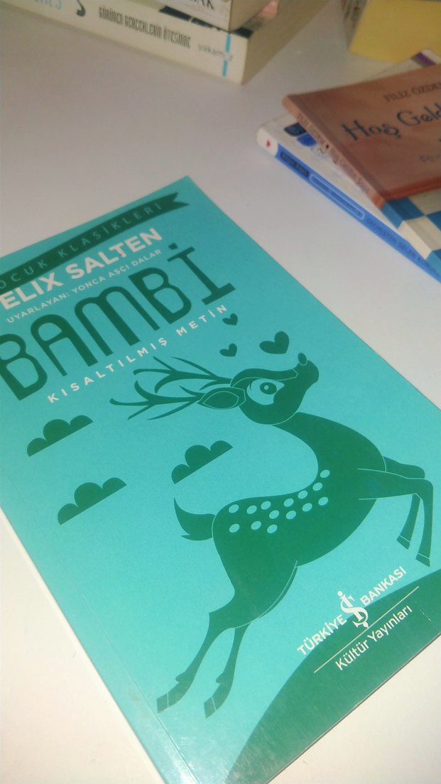 çocuk kitapları - Görsel 3