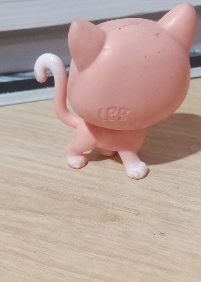 Kedi Miniş - Görsel 2