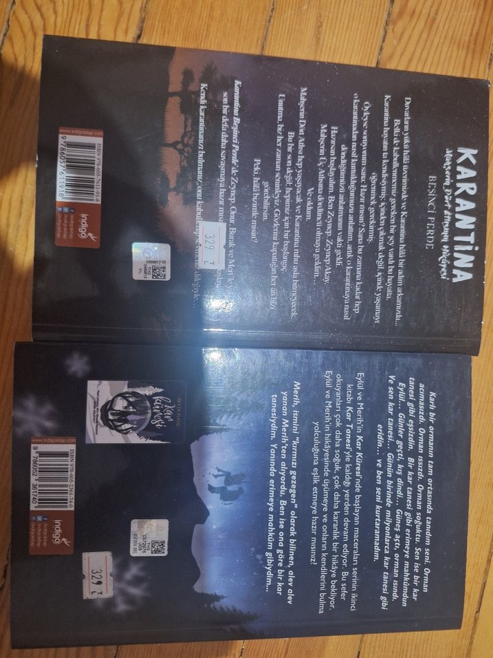 Karantina ve kar tanesi - Görsel 2