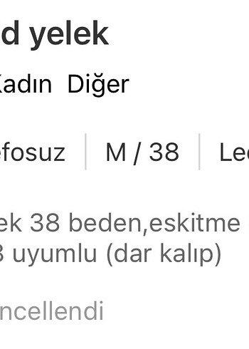 Leopar Desenli V Yakalı yelek - Görsel 5