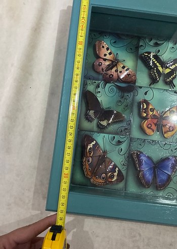 Turkuaz Kelebek Temalı Çerçeve - Görsel 8