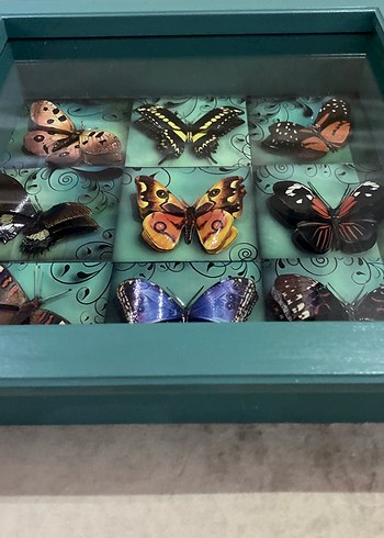 Turkuaz Kelebek Temalı Çerçeve - Görsel 6