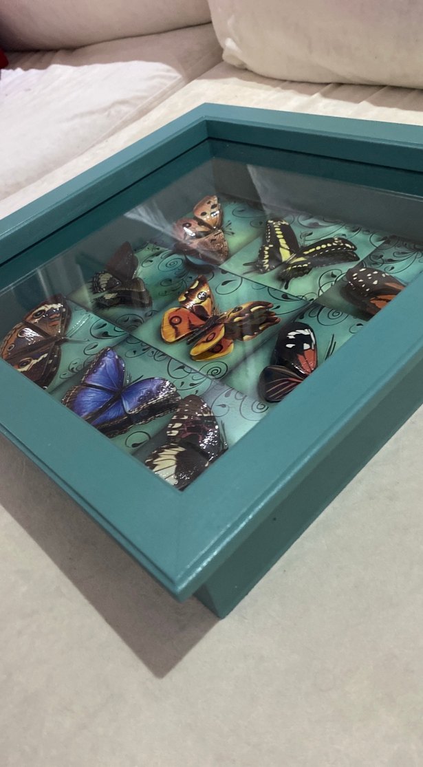 Turkuaz Kelebek Temalı Çerçeve - Görsel 5