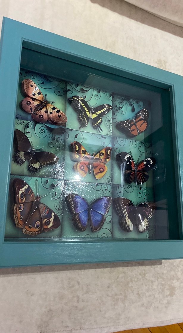 Turkuaz Kelebek Temalı Çerçeve - Görsel 2