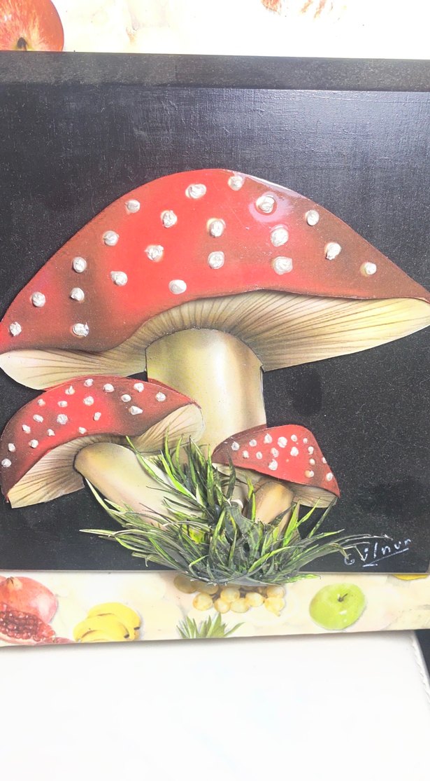 3 boyutlu Kırmızı Mantar Figürlü Duvar Dekoru - Görsel 5