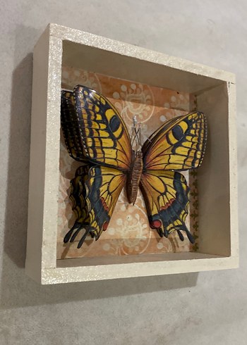 Sarı Kelebek Desenli Çerçeve - Görsel 2