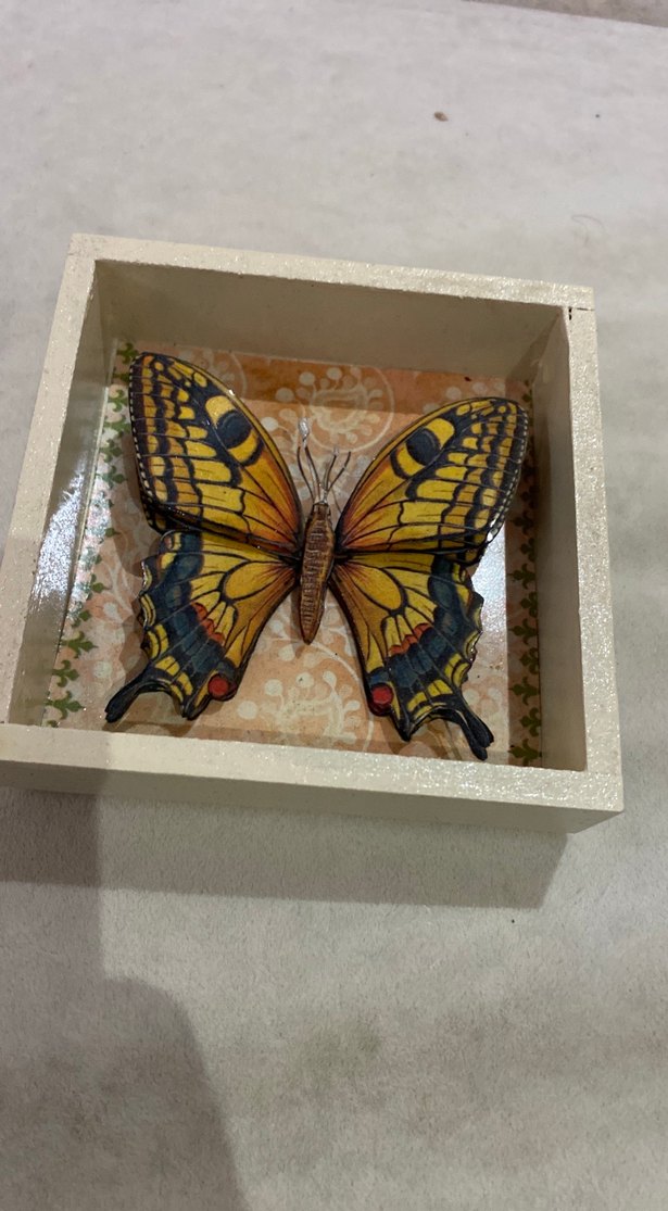 Sarı Kelebek Desenli Çerçeve - Görsel 3