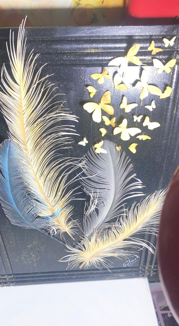 3 boyutlu Gri Tüy ve Kelebek Temalı Tablo - Görsel 5