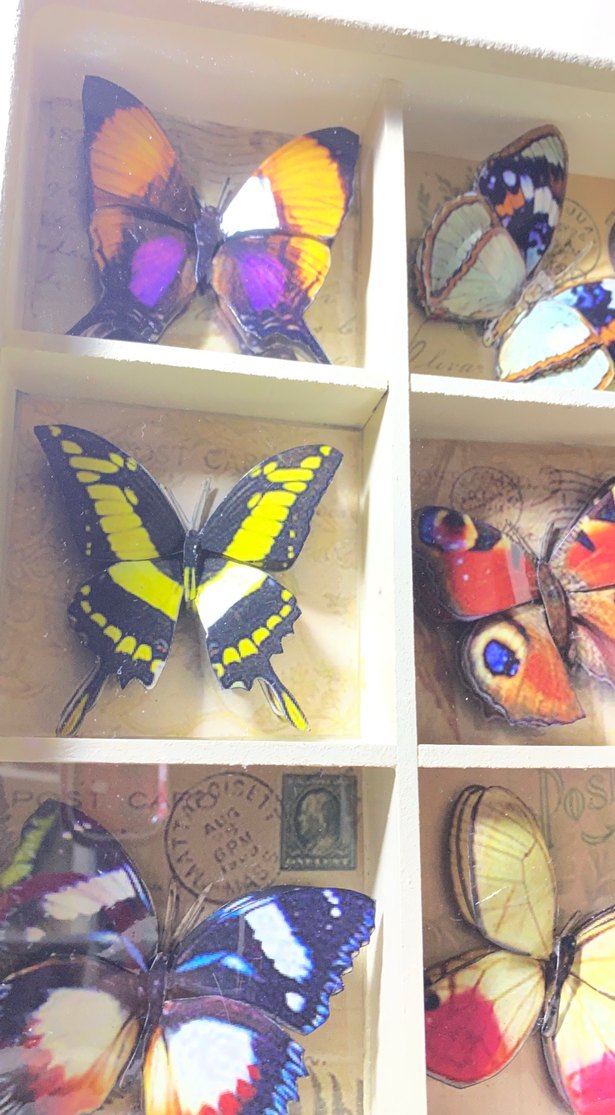 Ahşap Kelebek Desenli Bohem Tepsi - Görsel 5