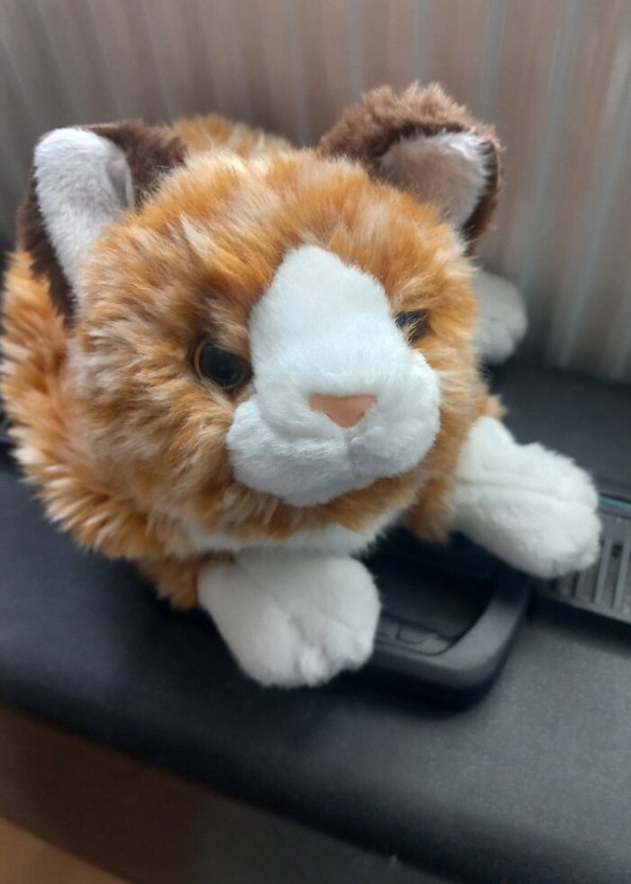 Kukla olarak da kullanılabilir peluş kedi - Görsel 3