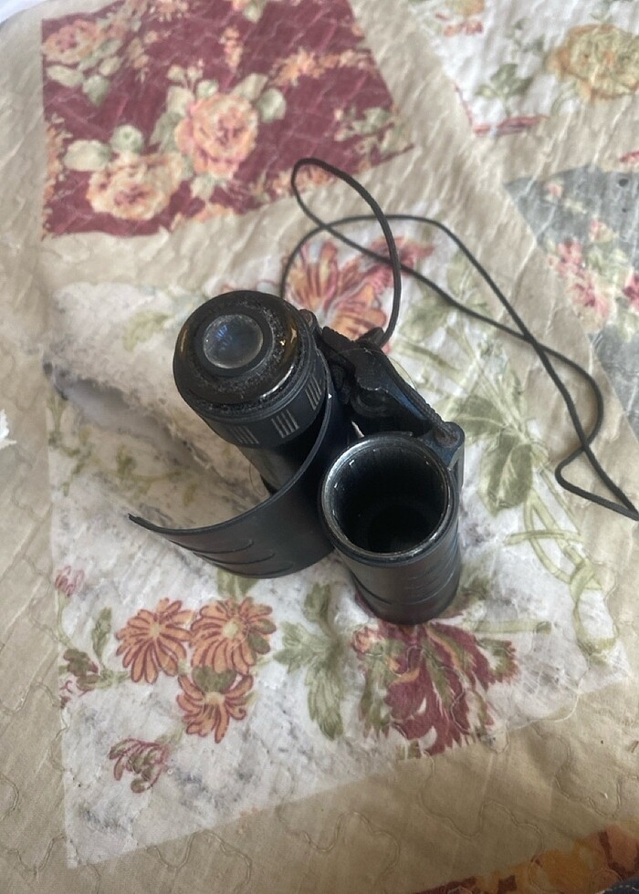 Bir camu  çıktığından çok uygun fiata - Görsel 5