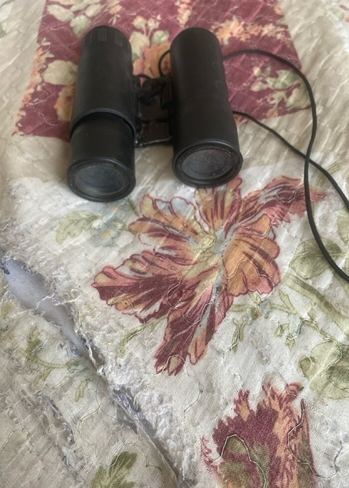 Bir camu  çıktığından çok uygun fiata - Görsel 3