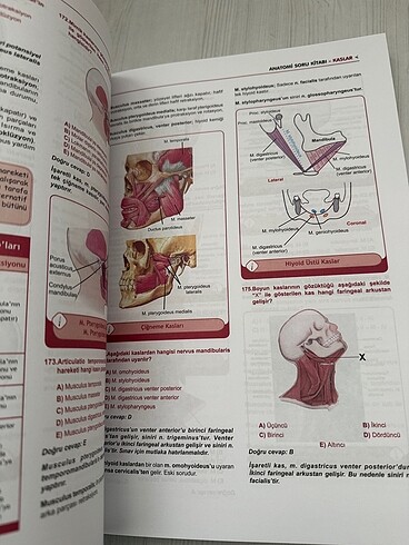  Beden Tusdata anatomi soruları