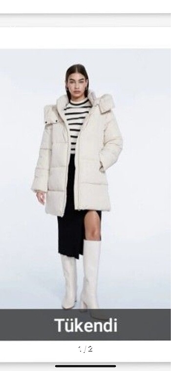 Stradivarius mont