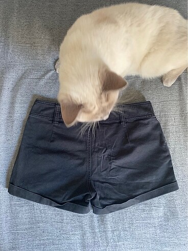 Collezione dusuk bel sort