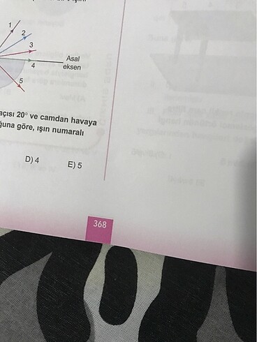 Beden Tyt Fizik 345